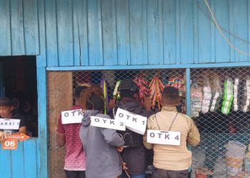 Polisi : 7 Saksi Diperiksa Pasca Penembakan Terhadap Personel TNI dan Polri di Puncak Jaya