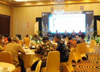 Rakorwil TPID Sulampua : 3 Daerah di Papua Jadi Program Kawasan Lumbung Pangan