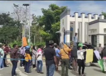 Aliansi CPNS 2024 Demo, Begini Respons Kepala BKPSDM Kaimana