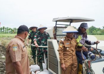 9 Hektar Lahan Padi di Keerom Siap Panen