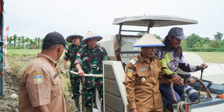 9 Hektar Lahan Padi di Keerom Siap Panen
