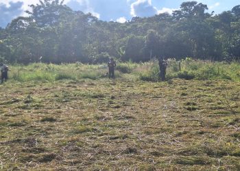 TNI Wujudkan Ketahanan Pangan Bersama Warga Senggi