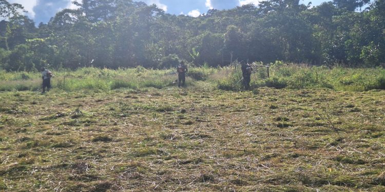 TNI Wujudkan Ketahanan Pangan Bersama Warga Senggi