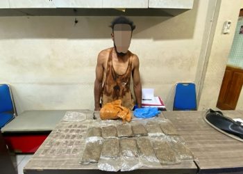 Polisi Ciduk YW, Bawa 36 Paket Ganja Siap Edar