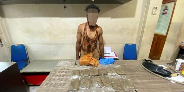 Polisi Ciduk YW, Bawa 36 Paket Ganja Siap Edar