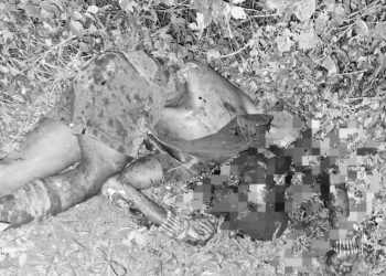 TPNPB OPM Klaim Tiga Anggotanya Tewas Terkena Ranjau di Intan Jaya