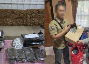 TNI Gagalkan Penyelundupan Ganja Seberat 1,2 Kg