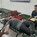 Kepedulian Nyata Astra Motor Papua Melalui Donor Darah