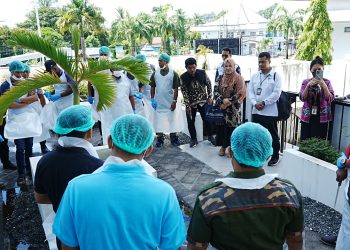 Kolaborasi Pemerintah Papua dan BI Gelar Sertifikasi Juru Sembelih Halal