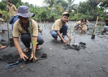 PLN UIP MPA dan Uniera Laksanakan Konservasi Mangrove dan Burung Mamoa