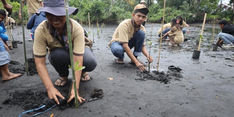 PLN UIP MPA dan Uniera Laksanakan Konservasi Mangrove dan Burung Mamoa
