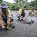 PLN UIP MPA dan Uniera Laksanakan Konservasi Mangrove dan Burung Mamoa