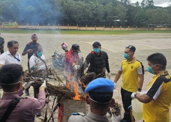Barang Bukti Ganja Dimusnahkan, Diduga Jadi Sumber Pendanaan Kelompok Separatis