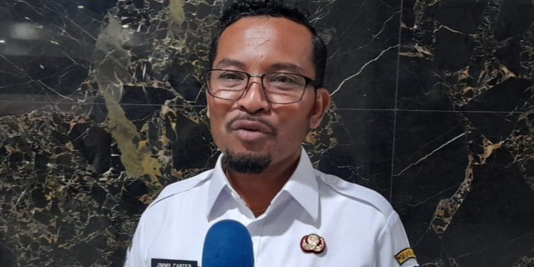 Pemkab Biak dan Pemerintah Papua Pegunungan Kerja Sama Tol Udara