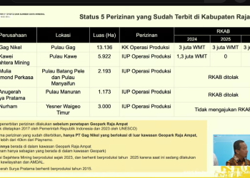 Pemerintah Cabut 4 Izin Usaha Pertambangan di Raja Ampat