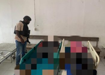 Dua Pekerja Bangunan Jadi Korban Penembakan di Jayawijaya