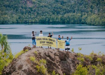 Respons Greenpeace Pasca Pemerintah Cabut Izin 4 Perusahaan Tambang di Raja Ampat
