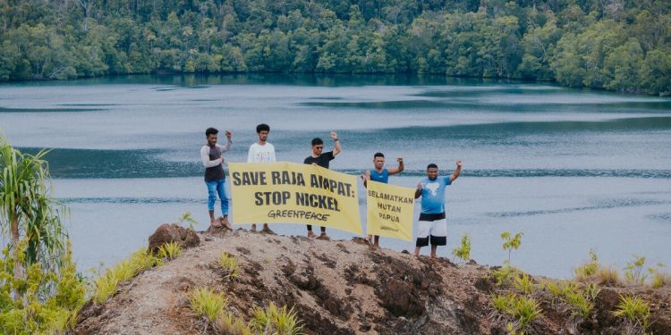 Respons Greenpeace Pasca Pemerintah Cabut Izin 4 Perusahaan Tambang di Raja Ampat