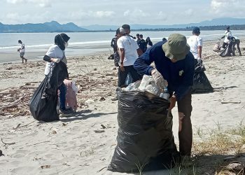 PLN UIP MPA Gandeng Komunitas Bersihkan Pantai Hacknut Holtekamp