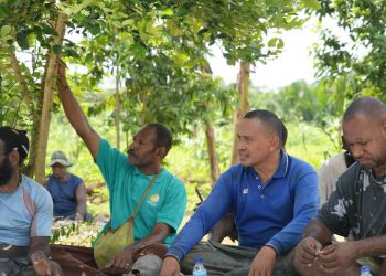 Warga Kampung Koya Koso dan PLN  UIP MPA Bahas Arah Pengembangan Program Agroforestri