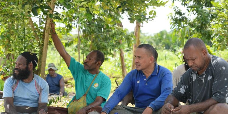 Warga Kampung Koya Koso dan PLN  UIP MPA Bahas Arah Pengembangan Program Agroforestri