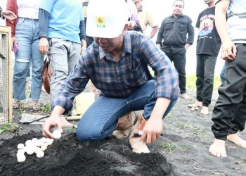 Aksi Nyata PLN UIP MPA di Hari Lingkungan Hidup Sedunia 2025