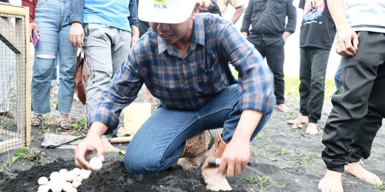 Aksi Nyata PLN UIP MPA di Hari Lingkungan Hidup Sedunia 2025