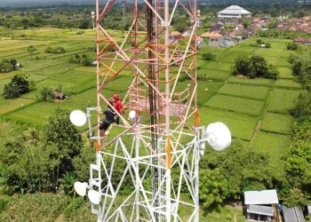 Telkomsel Dukung Operasional Industri Pertanian di Papua Selatan