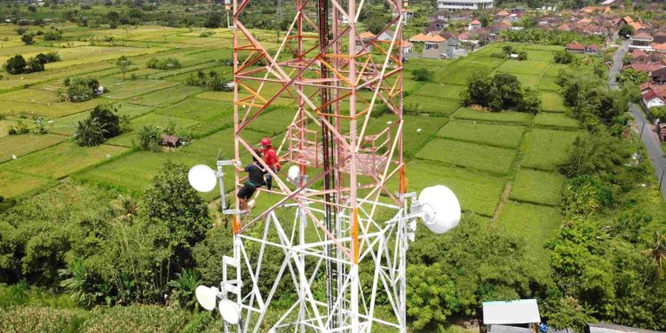 Telkomsel Dukung Operasional Industri Pertanian di Papua Selatan