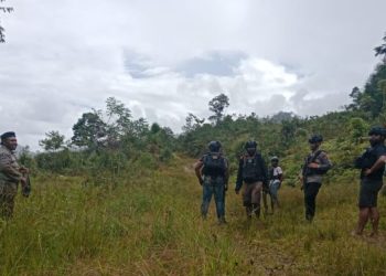 Polisi Sebut Letusan Senjata Api di Intan Jaya Diduga Upaya Balas Dendam KKB