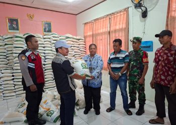 Perum Bulog Mulai Salurkan Bantuan Pangan Beras di Papua
