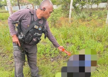 Polisi Dalami Kasus Pembunuhan Warga Sipil di Yahukimo