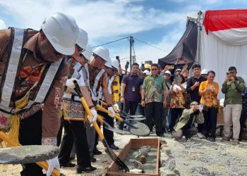 Di Hadapan Menkes, Pemerintah Papua Minta Prioritas Tenaga Kesehatan OAP