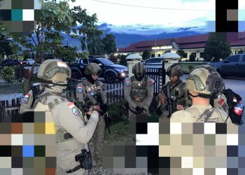 Satgas Damai Cartenz Terlibat dalam Penanaman Jagung di Jayawijaya