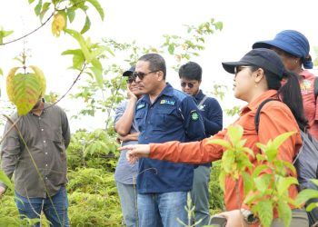 PLN UIP Maluku Papua Tinjau Lokasi Penanaman Rehabilitasi DAS