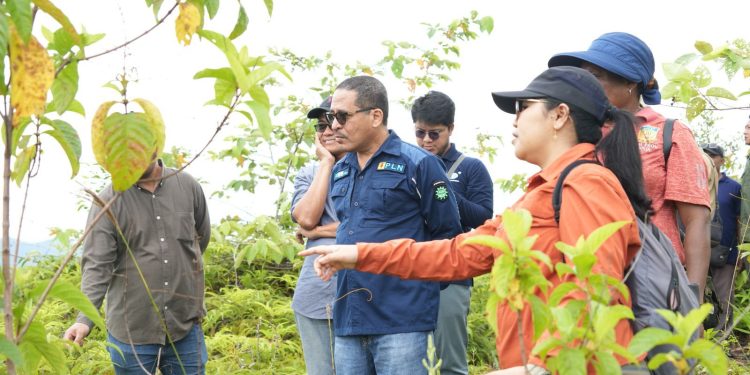 PLN UIP Maluku Papua Tinjau Lokasi Penanaman Rehabilitasi DAS