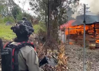 Satgas Operasi Damai Cartenz : KKB Bakar Rumah Bupati Puncak dan Bangunan Lainnya