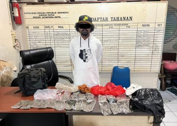 Polisi Tangkap Pembawa Ganja Seberat 500 Gram Saat Berada di Ruang Tunggu Pelabuhan Jayapura