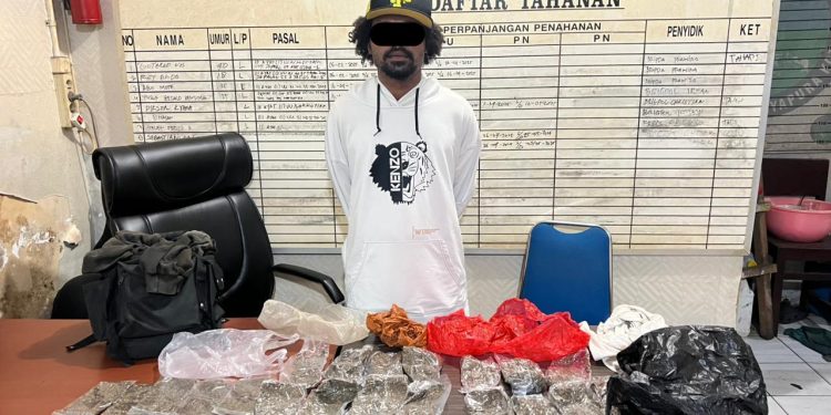 Polisi Tangkap Pembawa Ganja Seberat 500 Gram Saat Berada di Ruang Tunggu Pelabuhan Jayapura