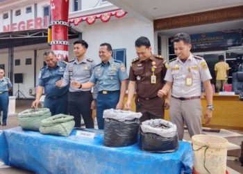 TNI AL Gagalkan Penyelundupan Teripang dari PNG Senilai Rp1,4 Miliar