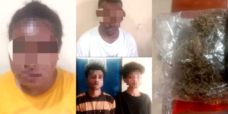Polisi Gagalkan Pengiriman Ganja Lewat Kapal di Pelabuhan Jayapura