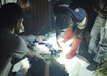Polisi Akan Autopsi Jenazah Pria Paruh Baya yang Ditemukan di Holtekamp