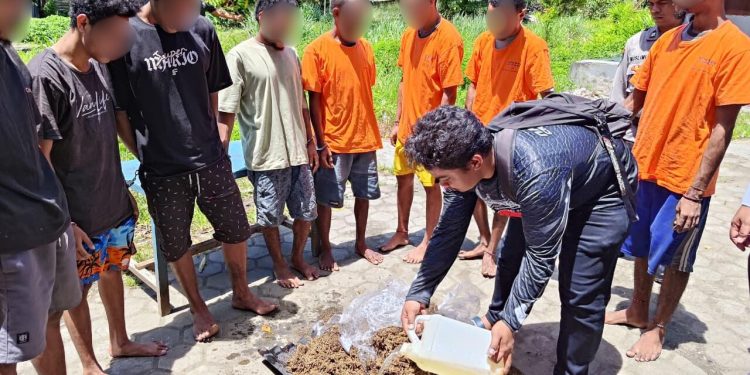 Disaksikan Para Tersangka, Polisi Musnahkan Ganja Seberat 7,3 Kilogram di Jayapura