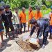 Disaksikan Para Tersangka, Polisi Musnahkan Ganja Seberat 7,3 Kilogram di Jayapura