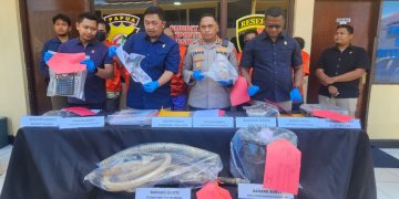 Polisi Ungkap Aktivitas Tambang Ilegal di Keerom, 4 Warga Cina Ditahan