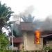 KKB Tembak Warga Sipil di Asmat, Rumah Korban Dibakar