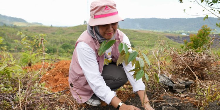 Srikandi PLN UIP MPA Turun Langsung Tanam Pohon