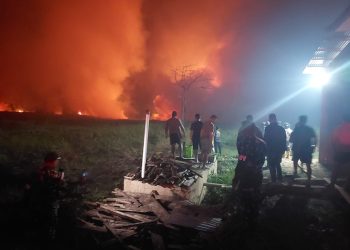Lahan 15 Hektar di Merauke Berhasil Dipadamkan Setelah Enam Jam Terbakar