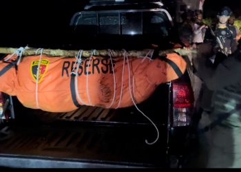 12 Korban Serangan KKB di Yahukimo Dievakuasi, 7 Meninggal Dunia