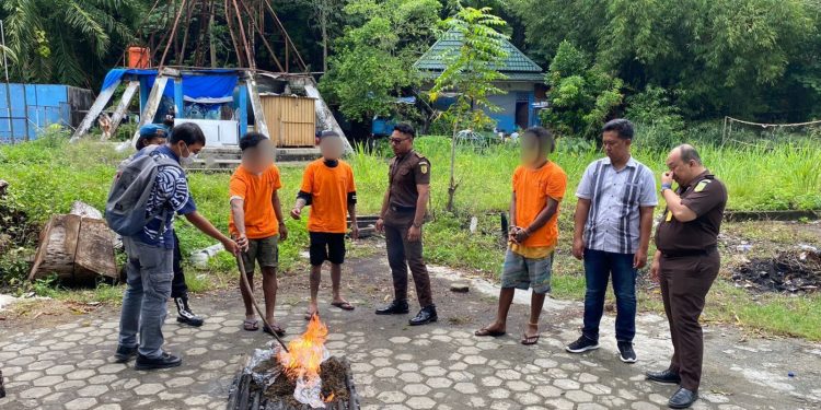 Tegas Lawan Narkoba di Papua, Ganja 3,4 Kilogram Dimusnahkan